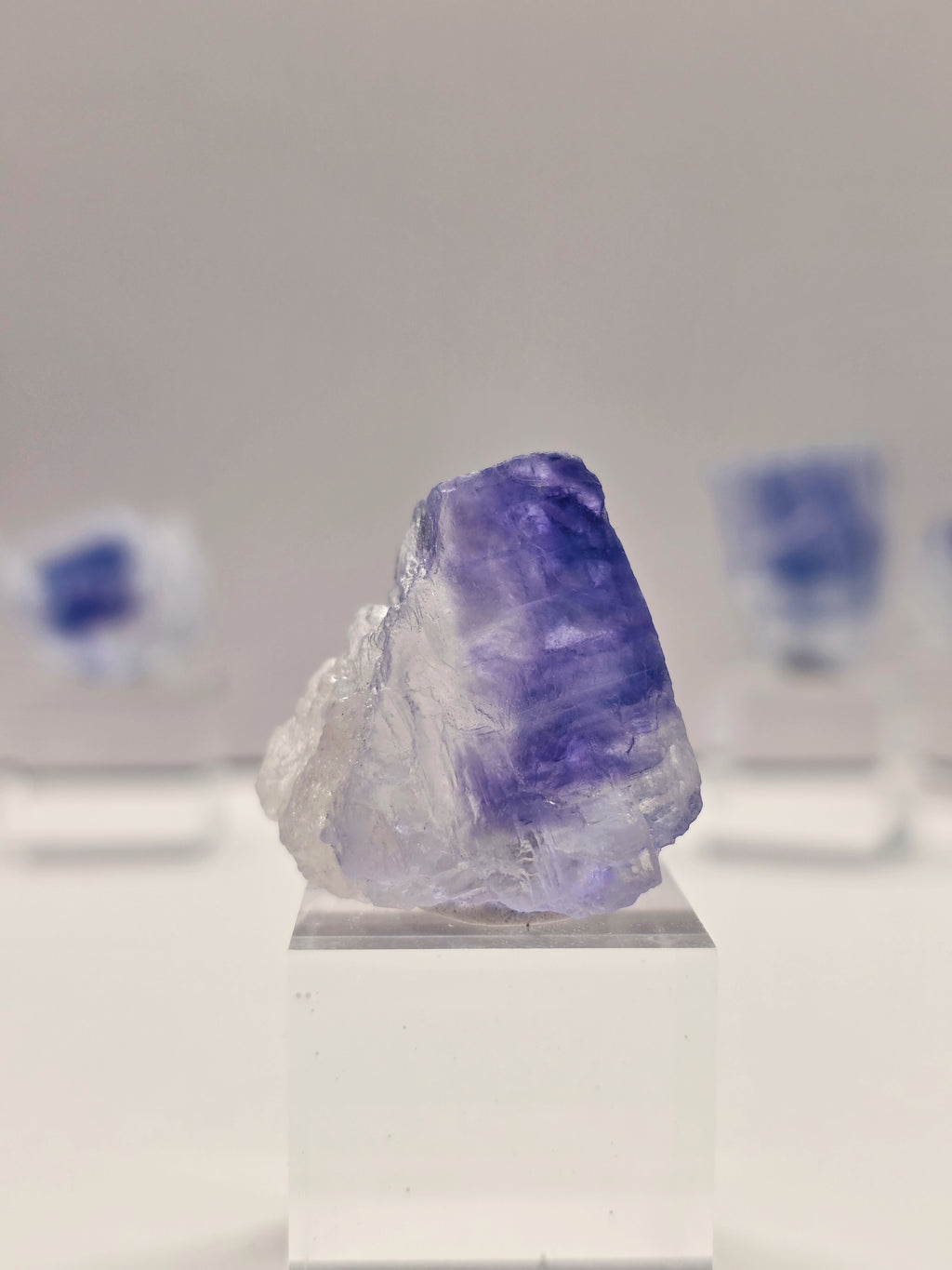 Specimen No. 008