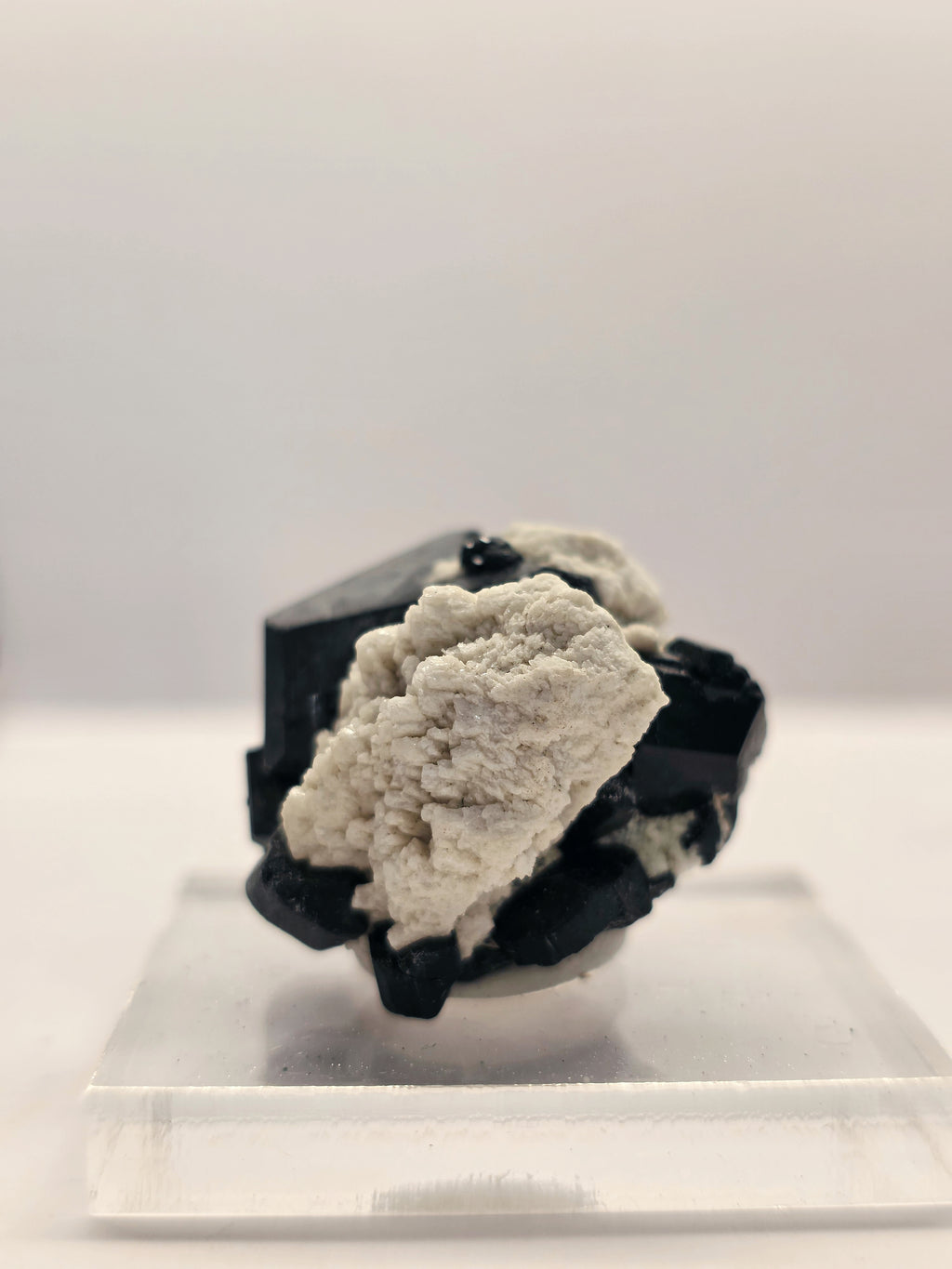 Specimen No. 252