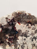 Specimen No. 168