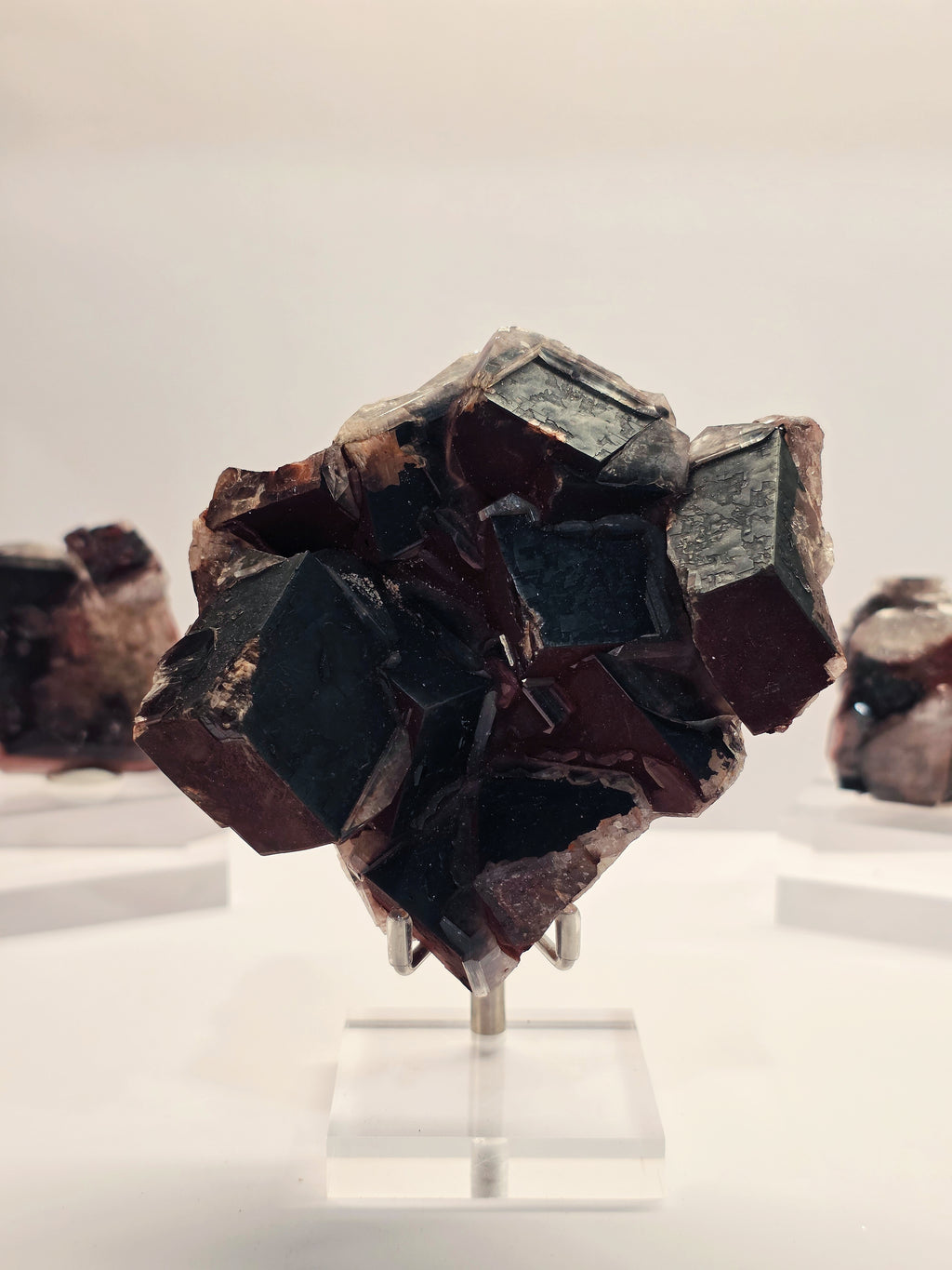 Specimen No. 080