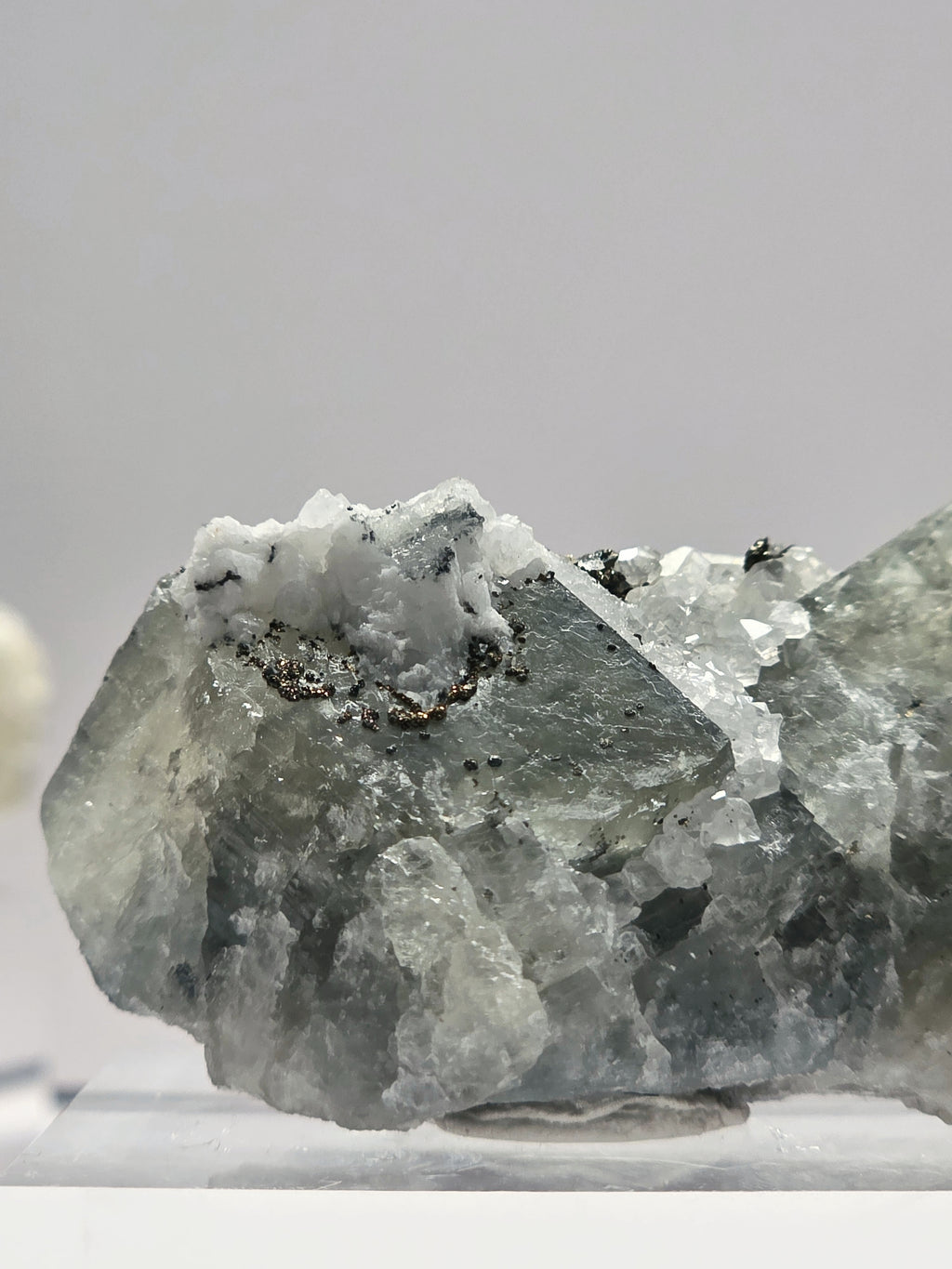 Specimen No. 026