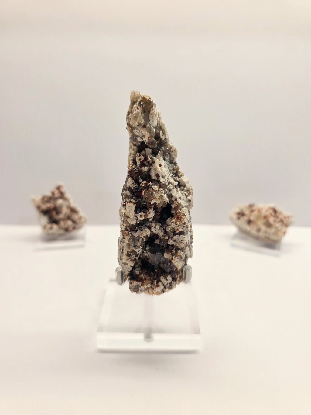 Specimen No. 161