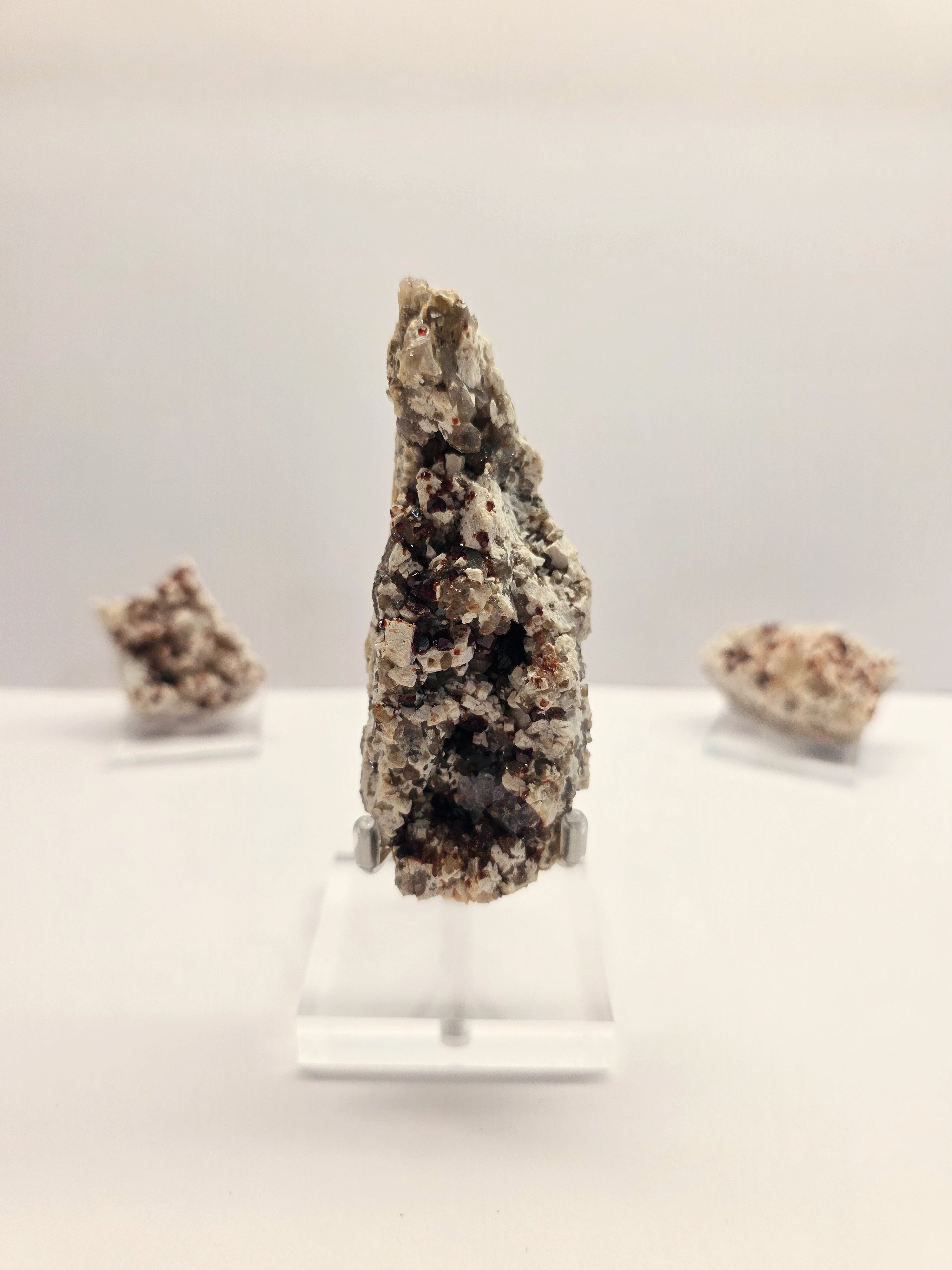 Specimen No. 161