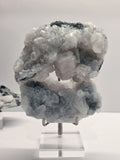 Specimen No. 090