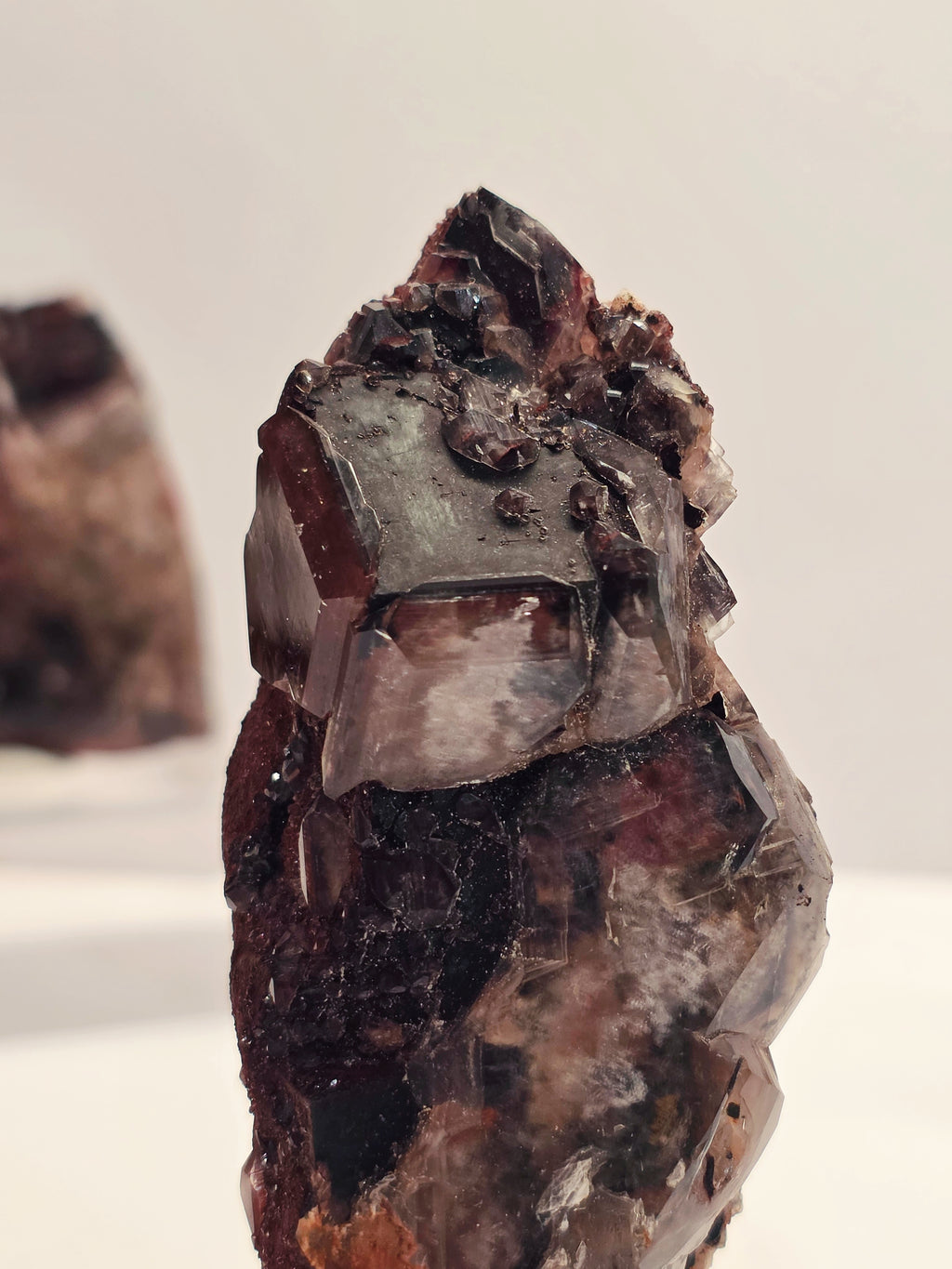Specimen No. 074