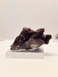 Specimen No. 228