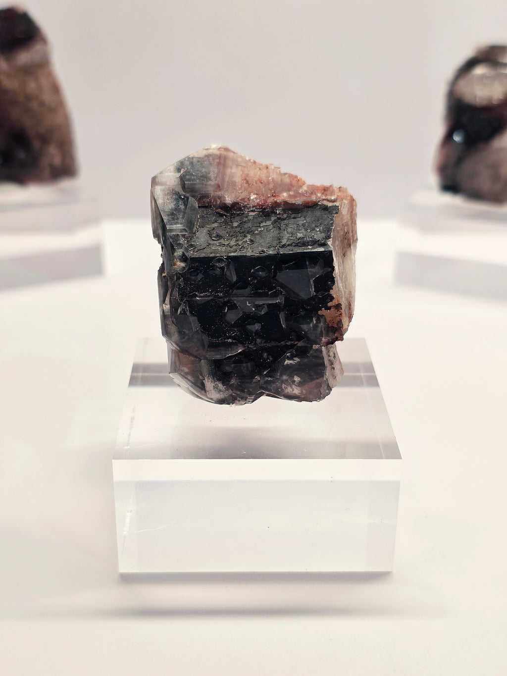 Specimen No. 069