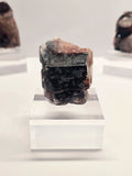Specimen No. 069