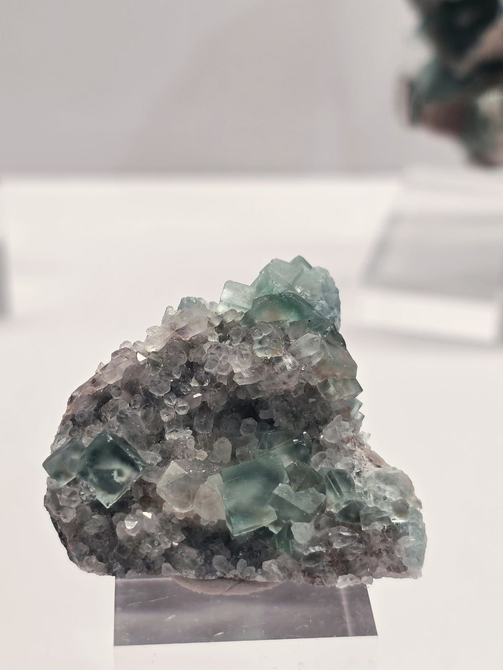Specimen No. 115