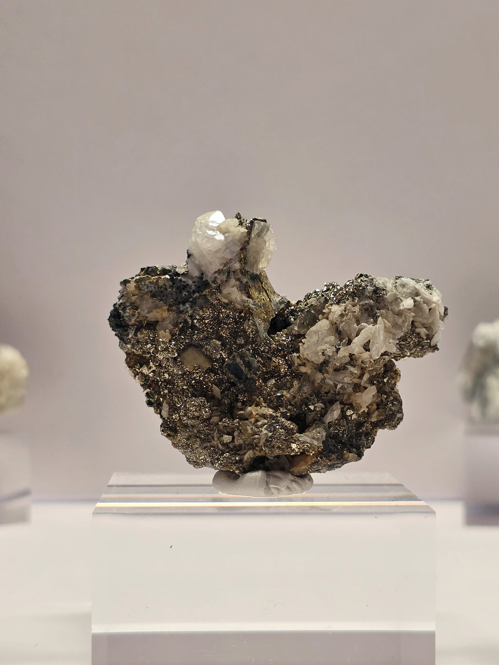 Specimen No. 025