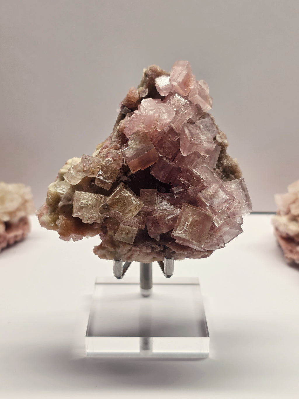 Specimen No. 018