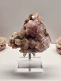 Specimen No. 018
