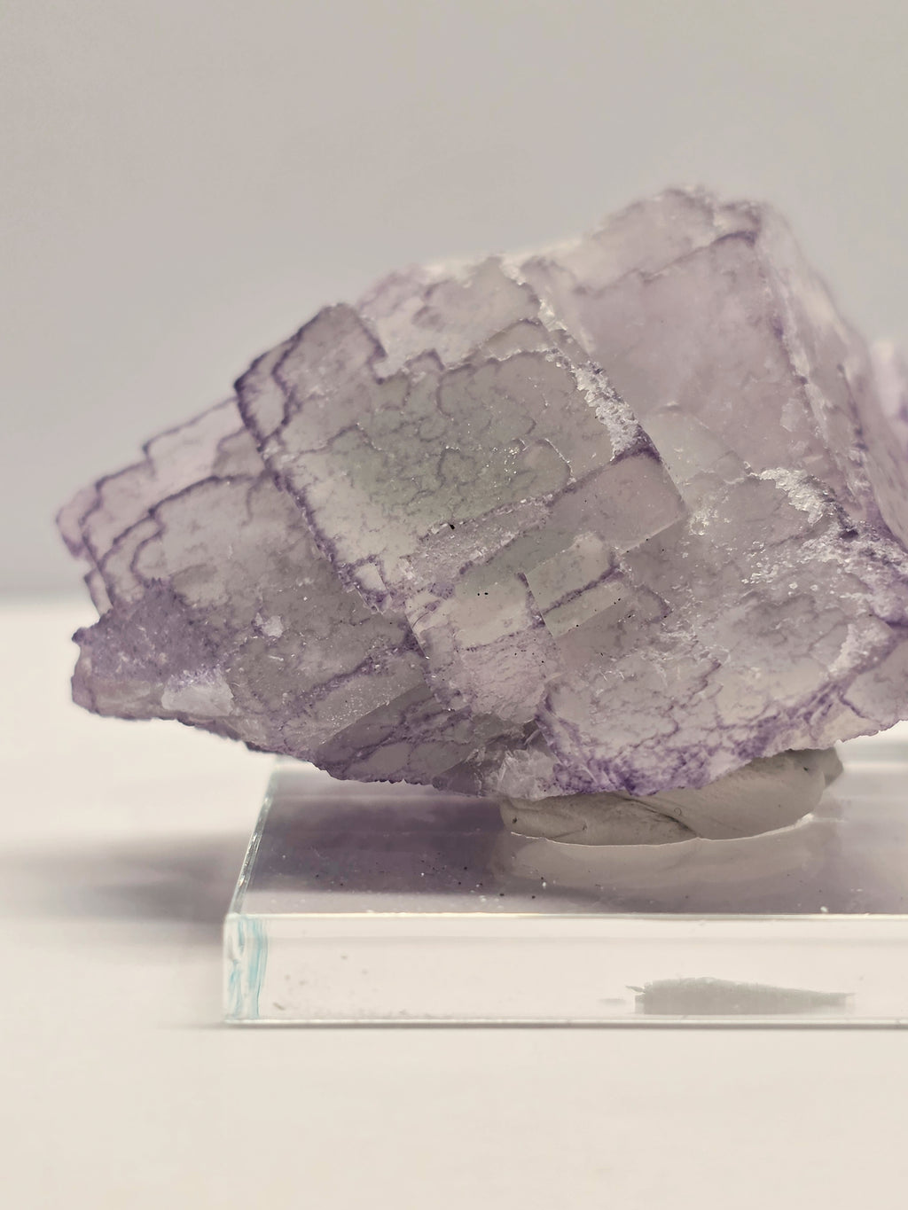 Specimen No. 178