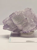 Specimen No. 178