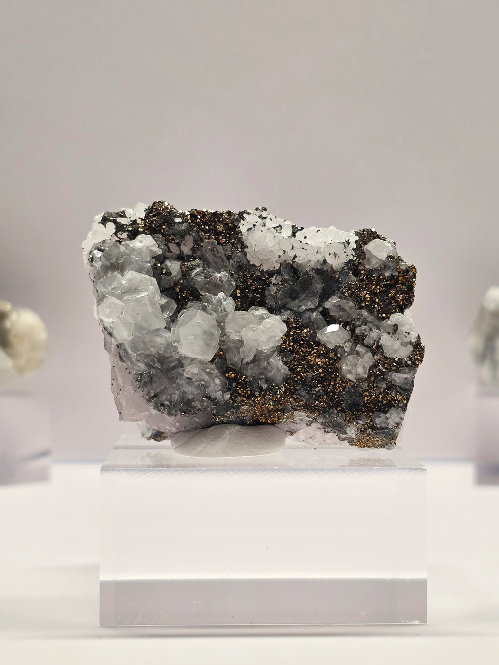 Specimen No. 024