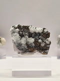Specimen No. 024