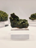 Specimen No. 048