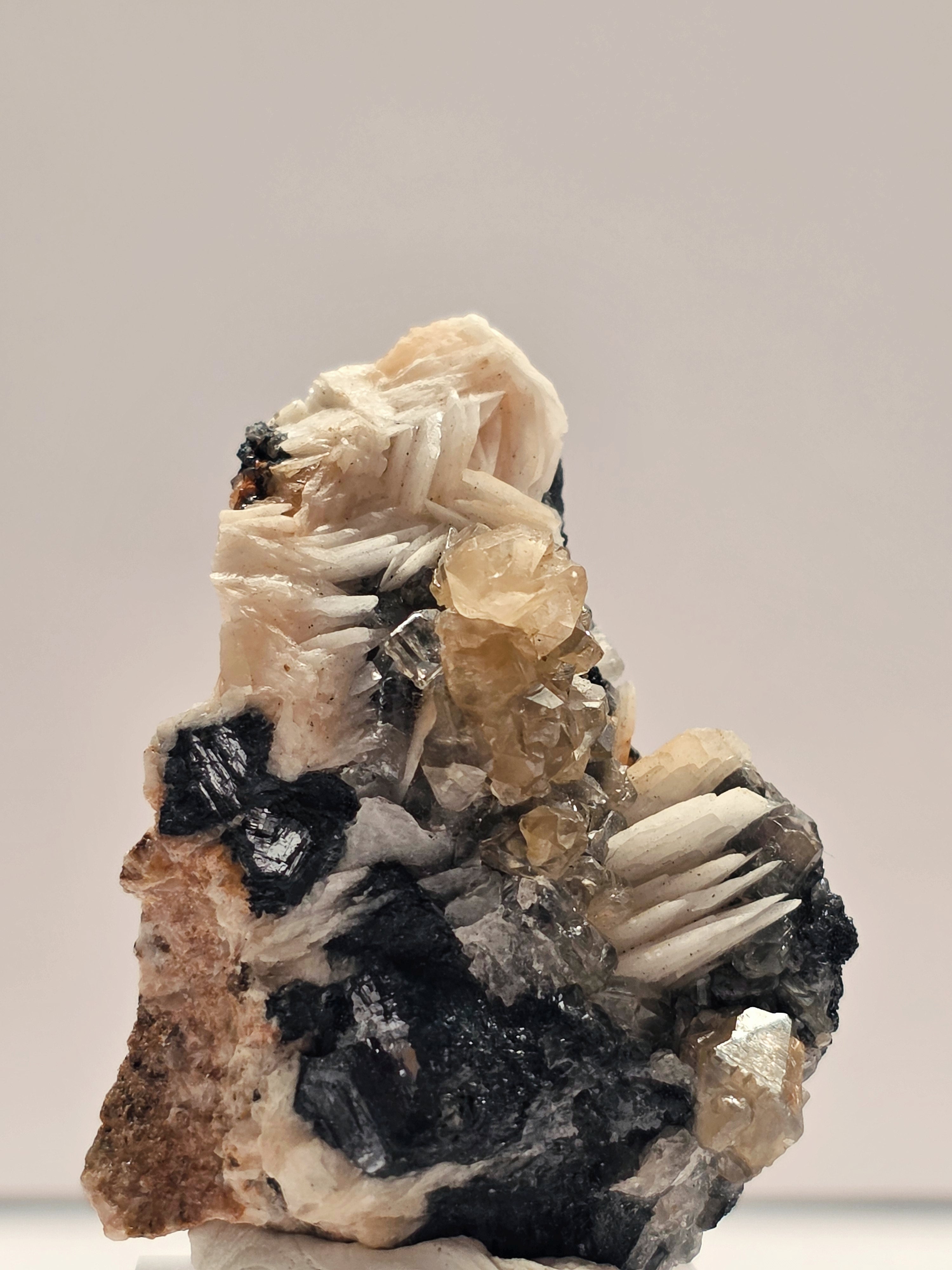 Specimen No. 032