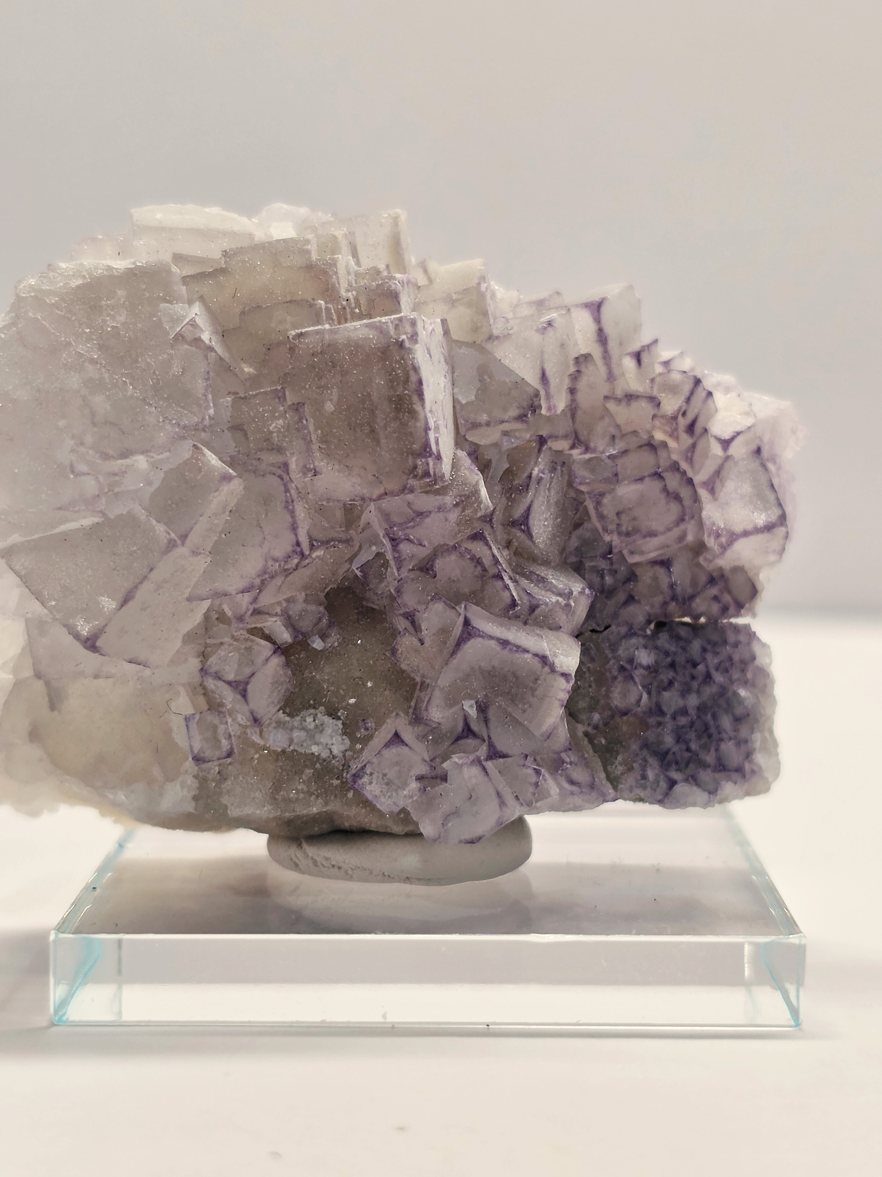 Specimen No. 176