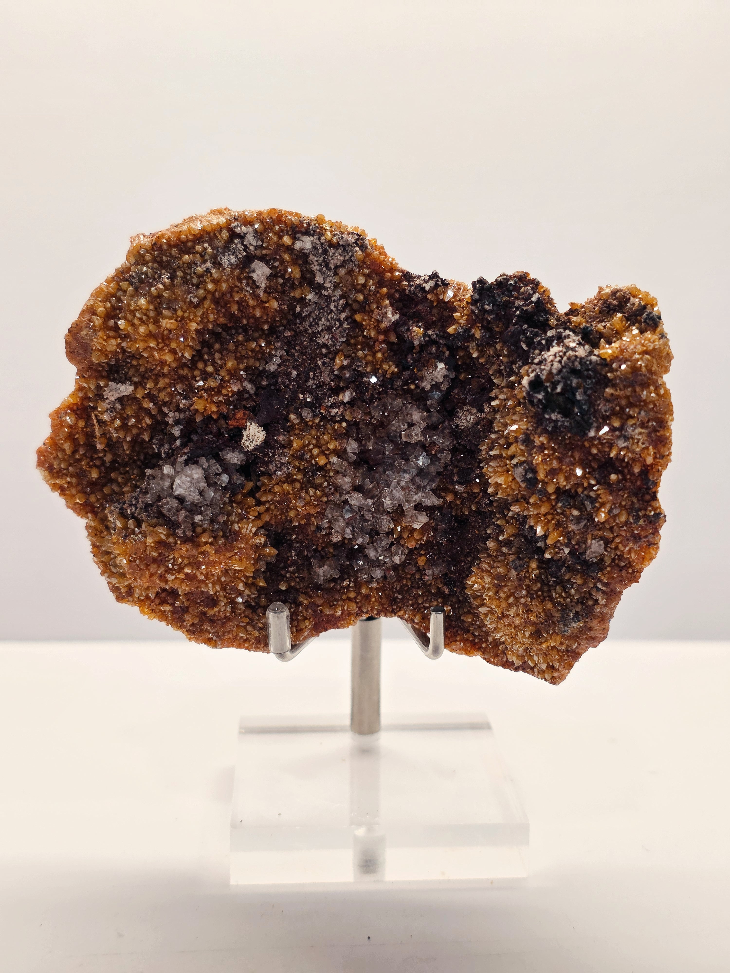 Specimen No. 251