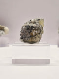 Specimen No. 027