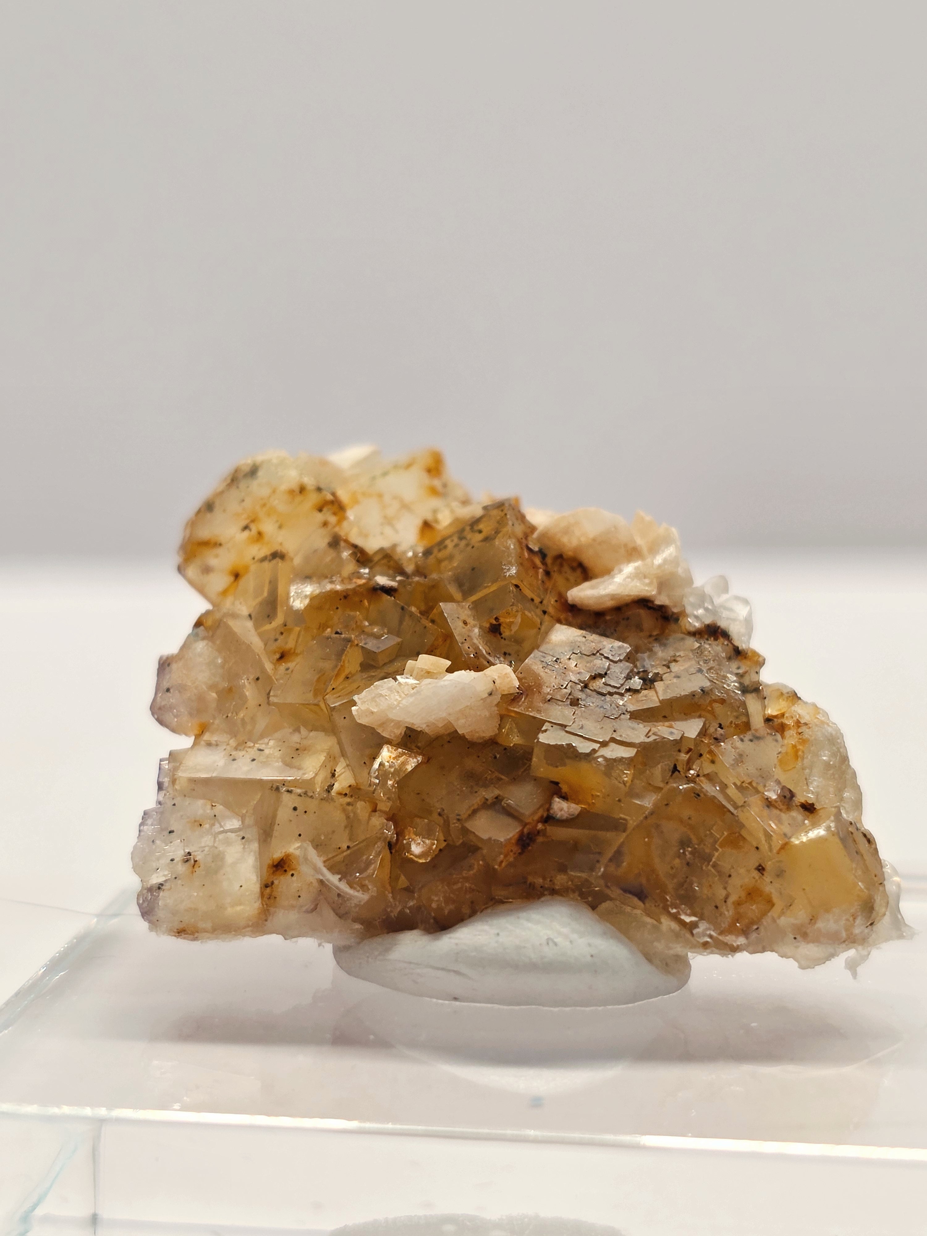 Specimen No. 188