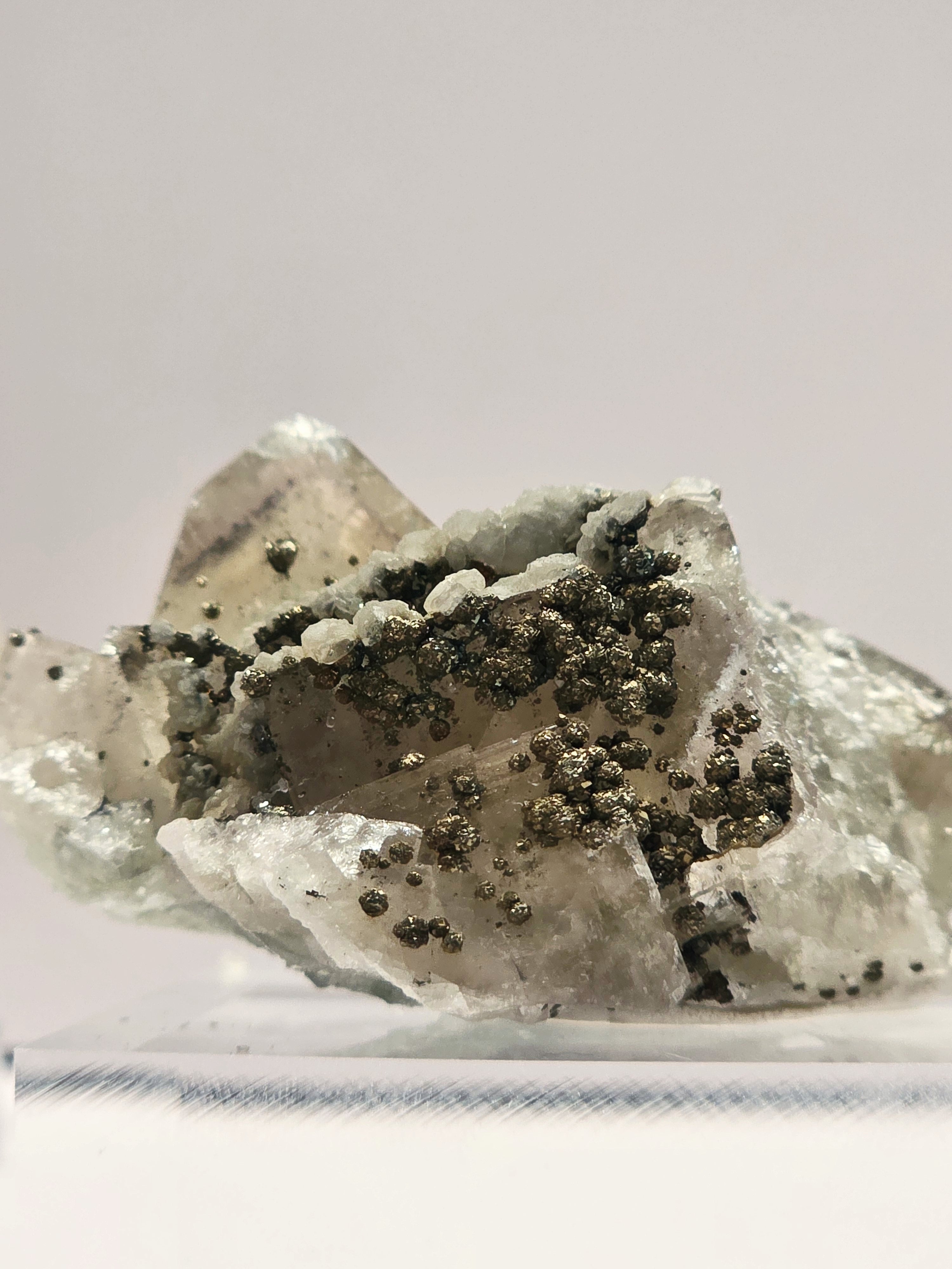 Specimen No. 029