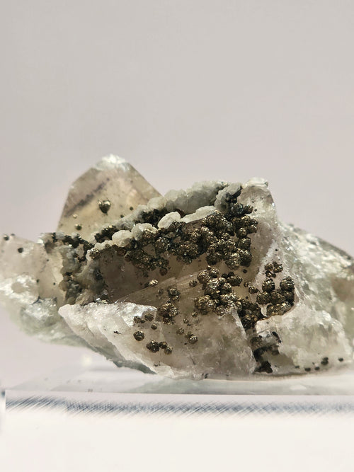 Specimen No. 029