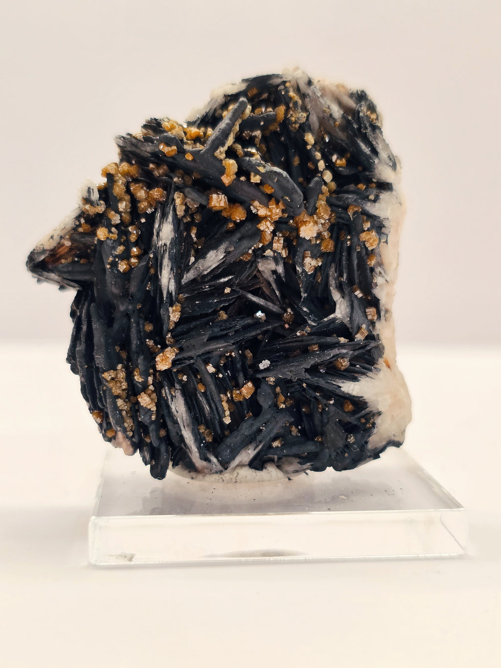 Specimen No. 205