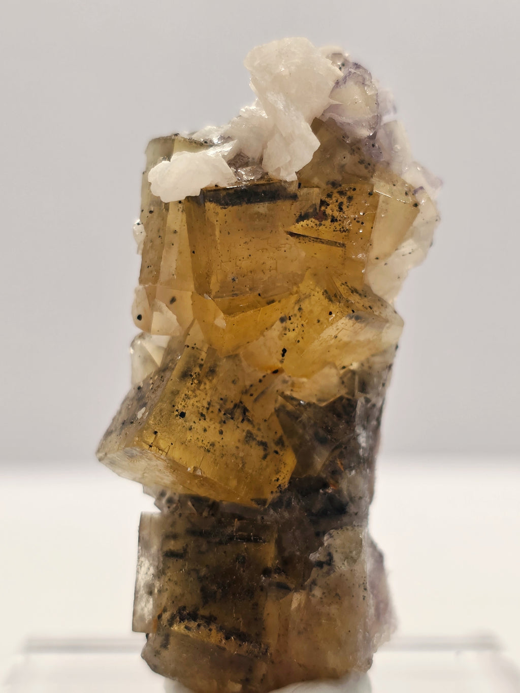 Specimen No. 193