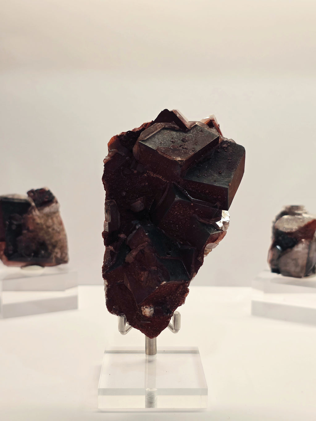 Specimen No. 076