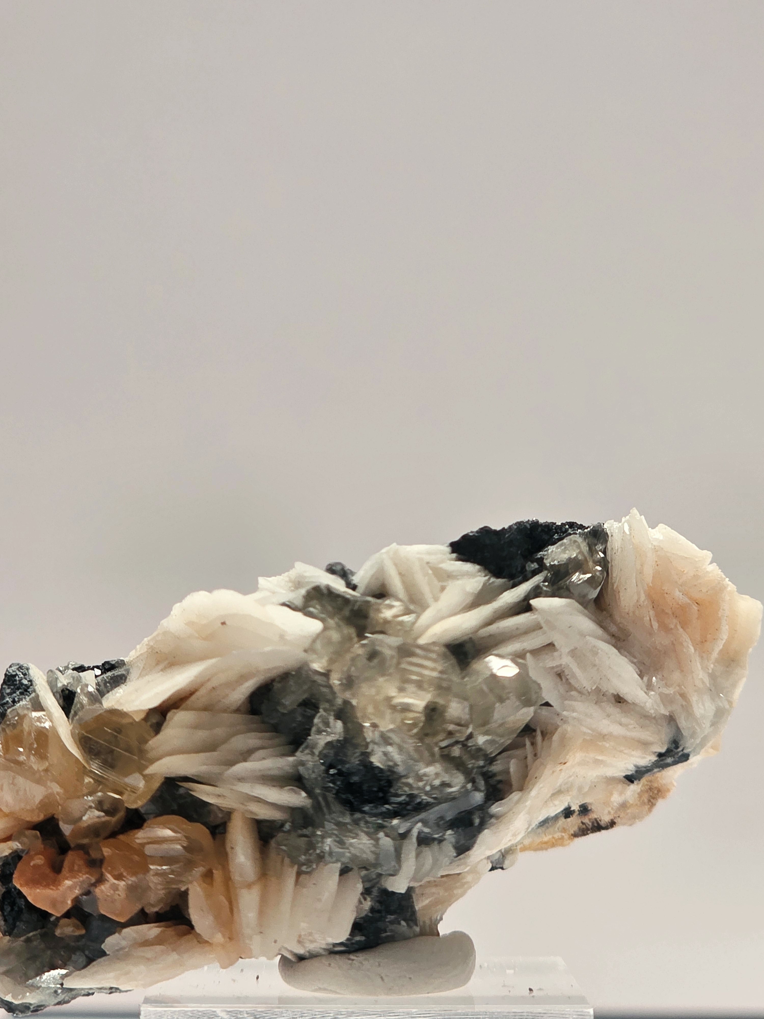 Specimen No. 035