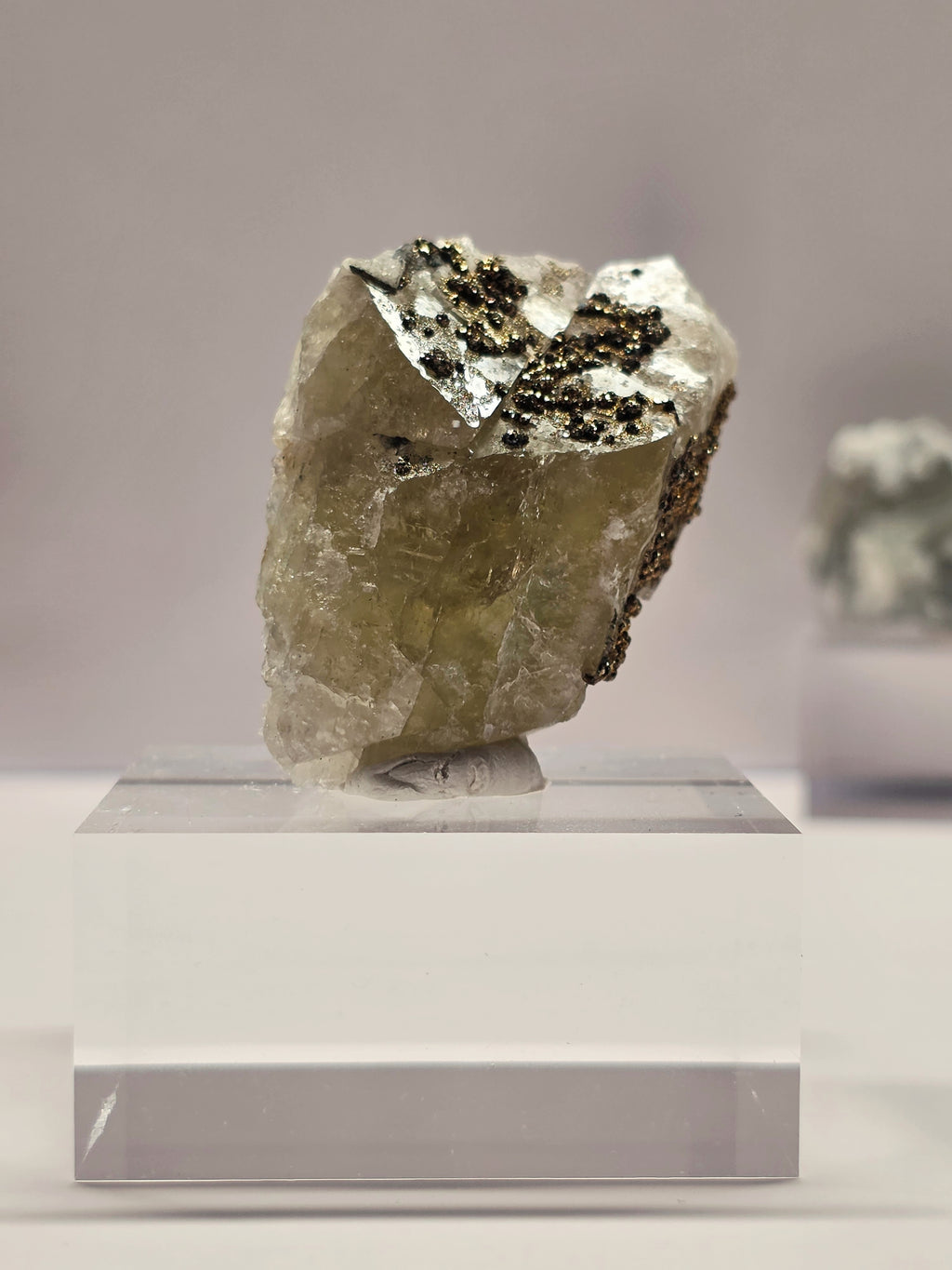 Specimen No. 022