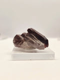 Specimen No. 231