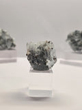 Specimen No. 103