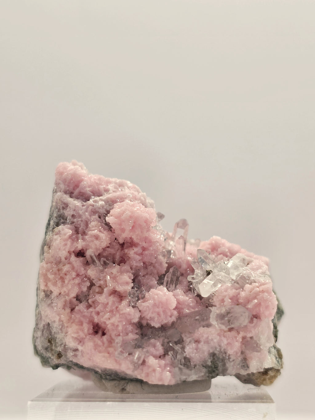 Specimen No. 147