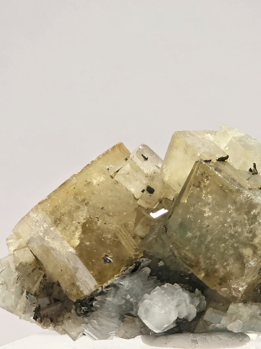 Specimen No. 028