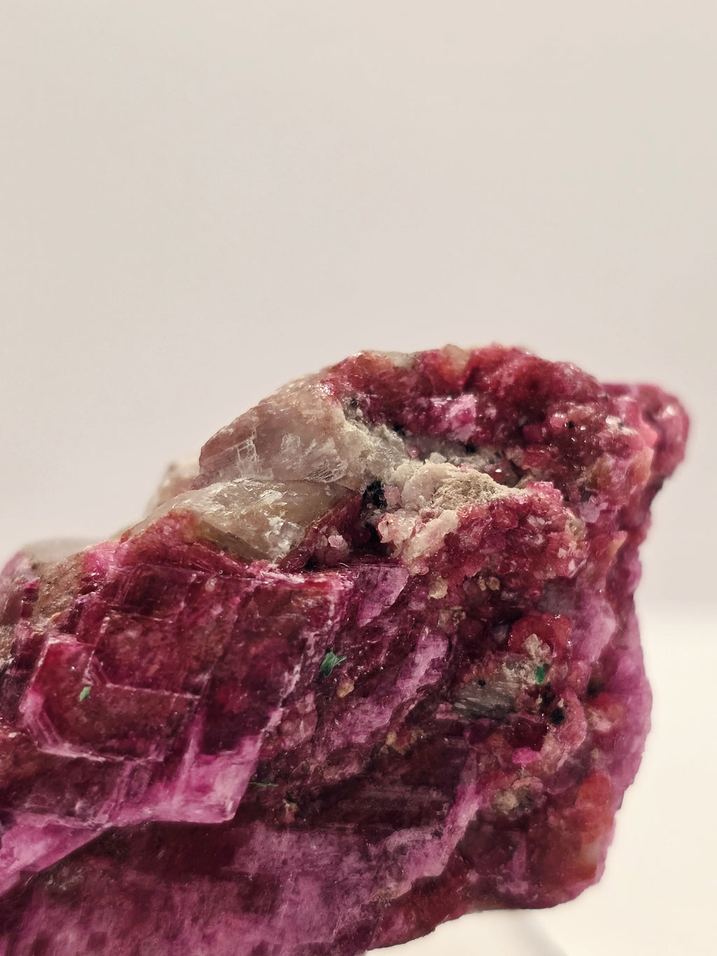 Specimen No. 151