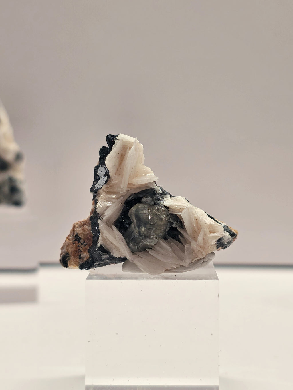 Specimen No. 034
