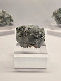 Specimen No. 109