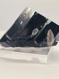 Specimen No. 258