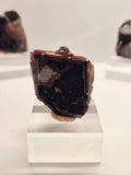 Specimen No. 071