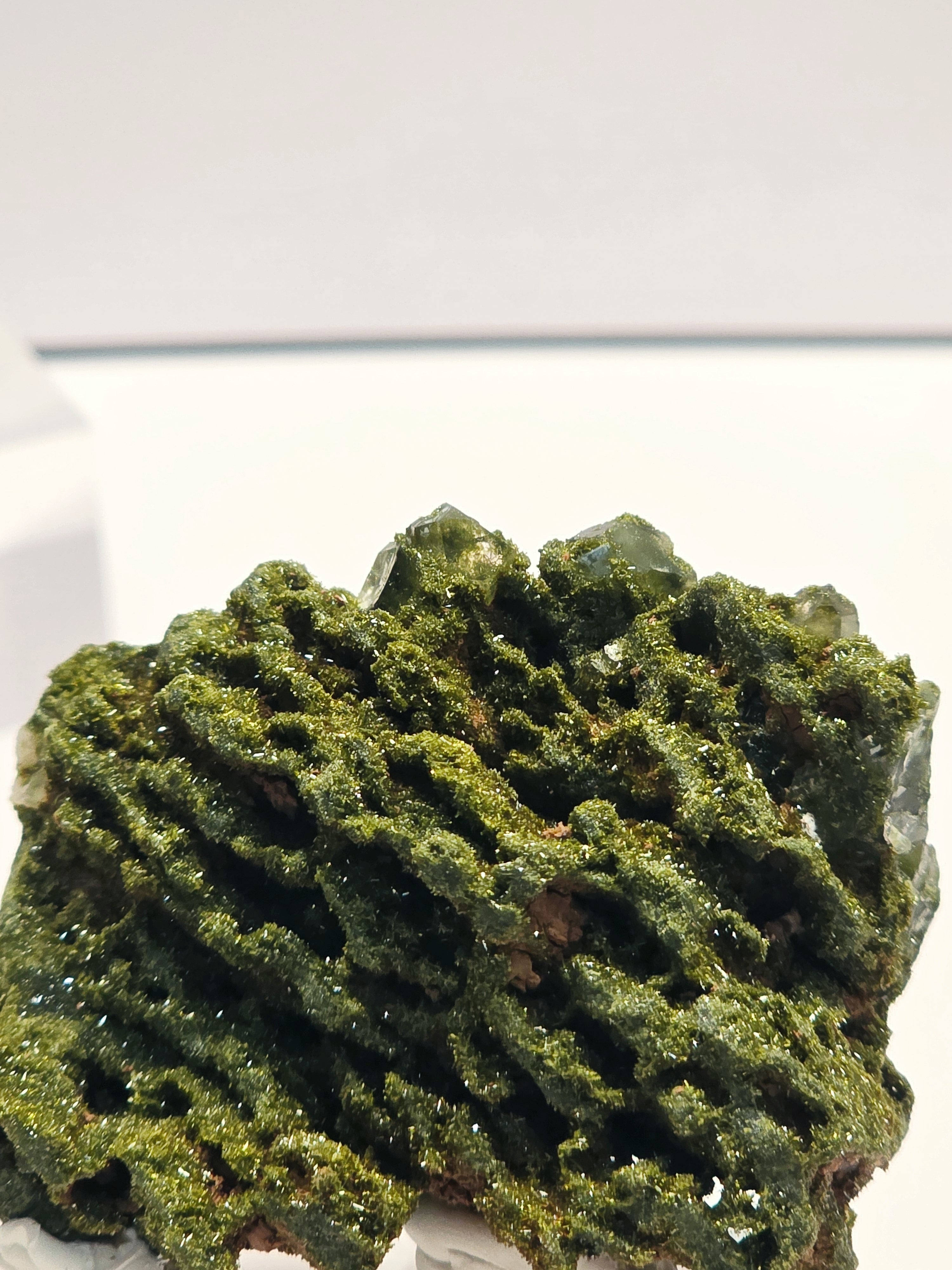 Specimen No. 052