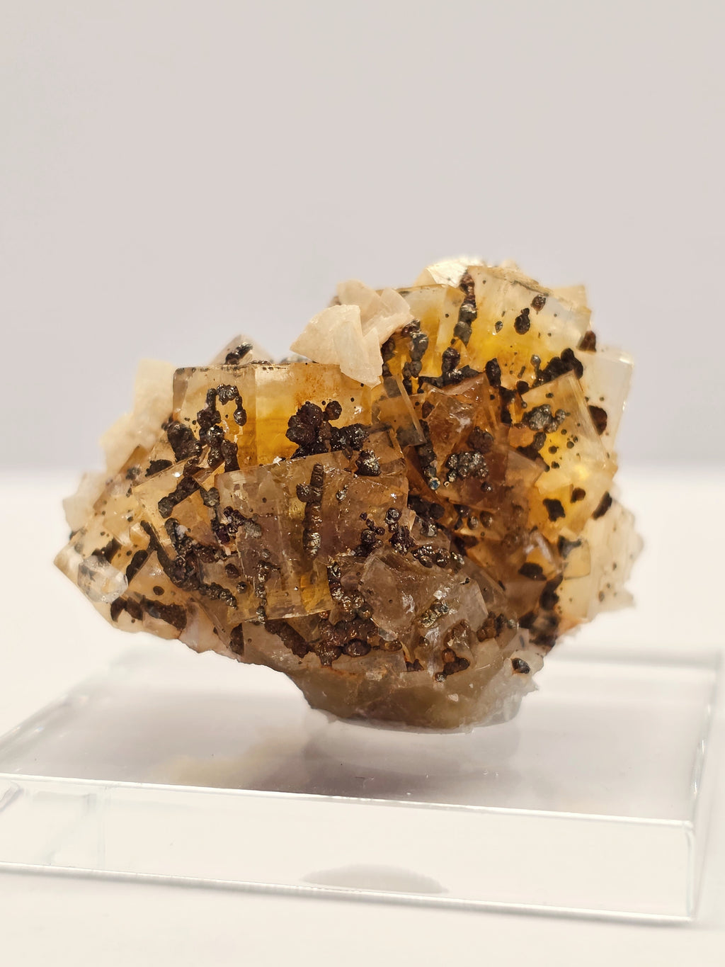 Specimen No. 190