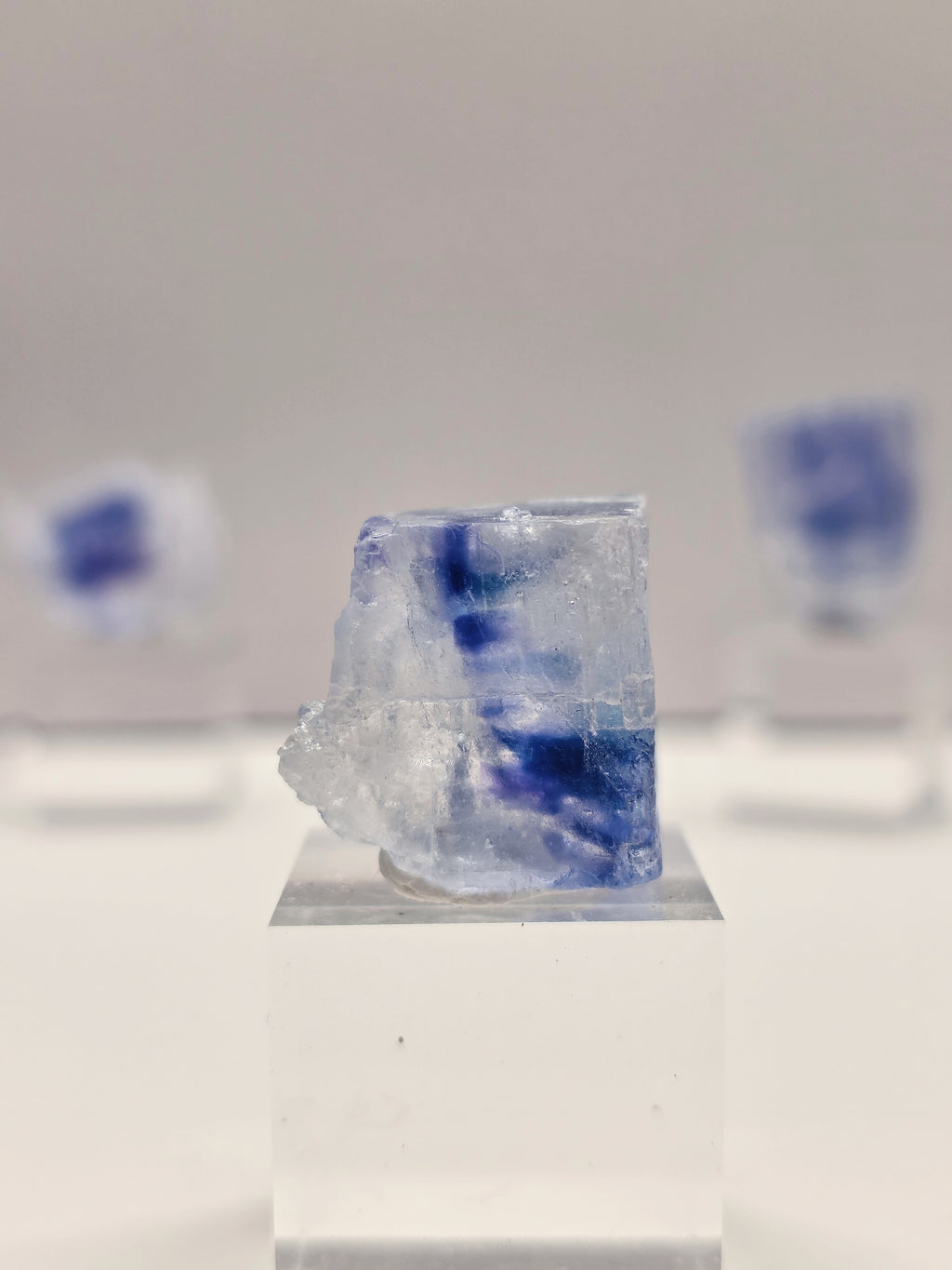Specimen No. 009