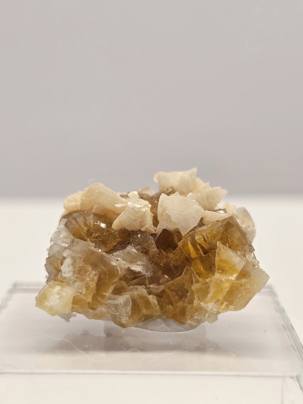Specimen No. 187