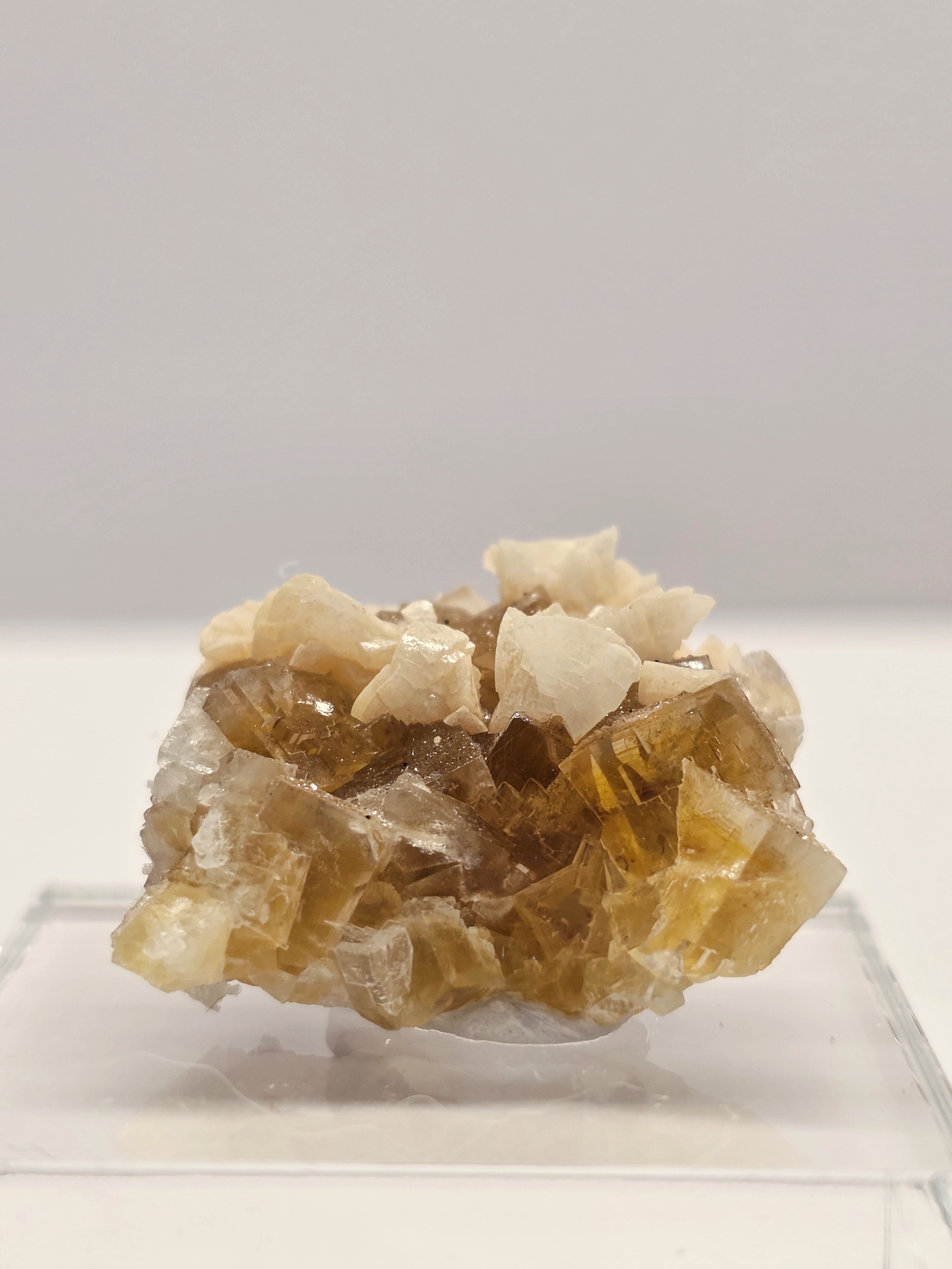 Specimen No. 187